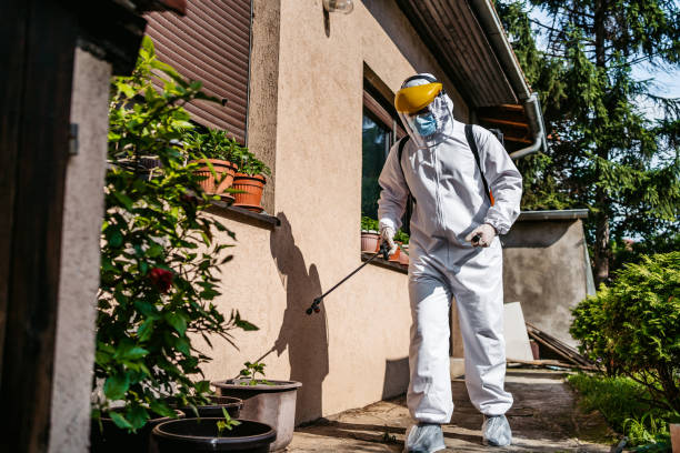 Wasp Removal Services in White Sulphur Springs, MT