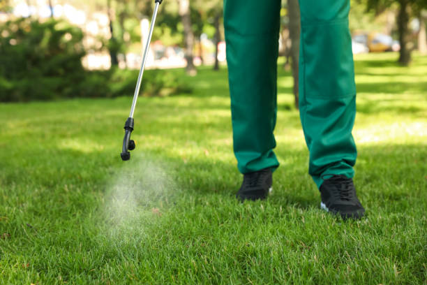 Best Insect Control  in White Sulphur Springs, MT