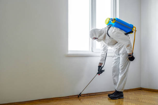 Best Pest Control for Restaurants  in White Sulphur Springs, MT