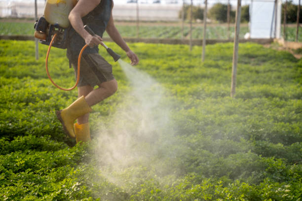 Best Pest Inspection Near Me  in White Sulphur Springs, MT