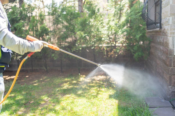 Professional Pest Control in White Sulphur Springs, MT