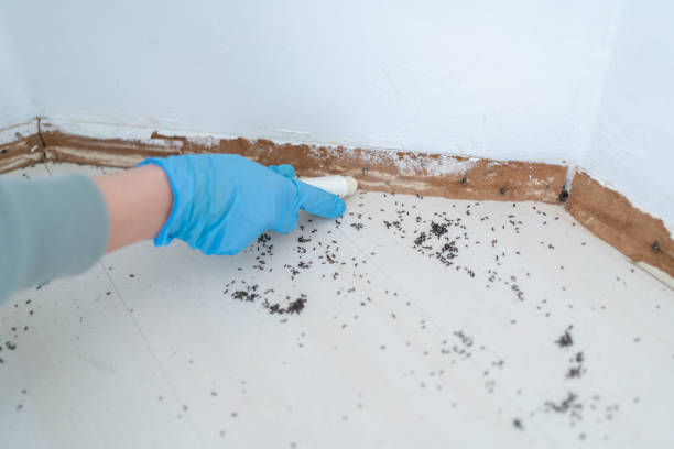 White Sulphur Springs, MT Pest Control Company